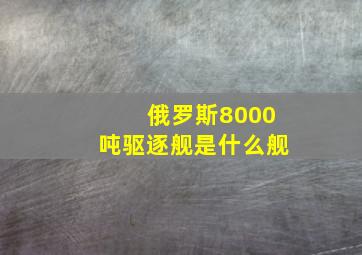 俄罗斯8000吨驱逐舰是什么舰