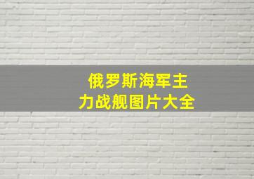 俄罗斯海军主力战舰图片大全