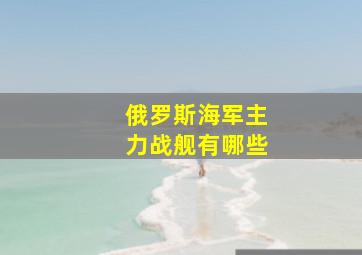 俄罗斯海军主力战舰有哪些