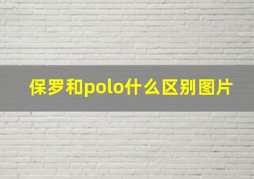 保罗和polo什么区别图片