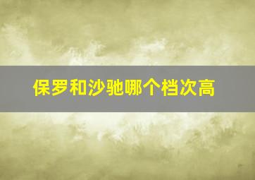 保罗和沙驰哪个档次高