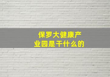 保罗大健康产业园是干什么的