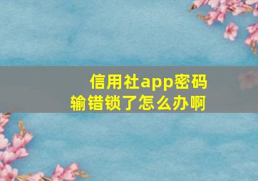 信用社app密码输错锁了怎么办啊