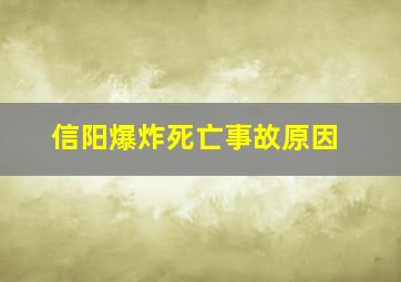 信阳爆炸死亡事故原因