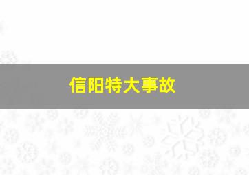 信阳特大事故