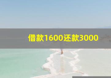 借款1600还款3000