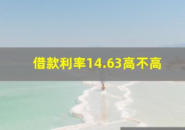 借款利率14.63高不高