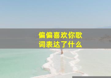 偏偏喜欢你歌词表达了什么