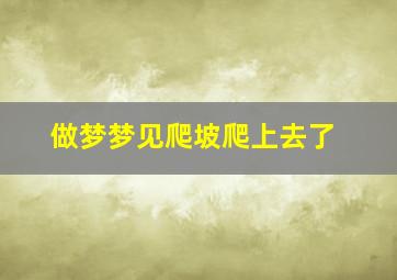 做梦梦见爬坡爬上去了