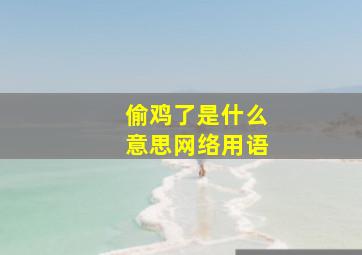 偷鸡了是什么意思网络用语