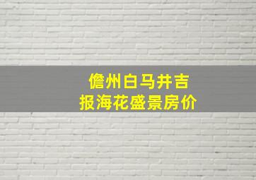 儋州白马井吉报海花盛景房价