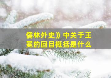 儒林外史》中关于王冕的回目概括是什么