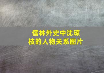 儒林外史中沈琼枝的人物关系图片