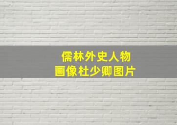 儒林外史人物画像杜少卿图片