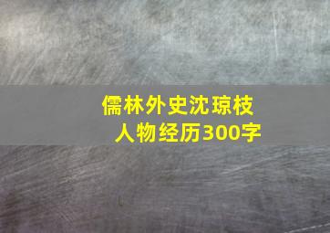 儒林外史沈琼枝人物经历300字