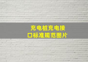 充电桩充电接口标准规范图片