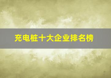 充电桩十大企业排名榜