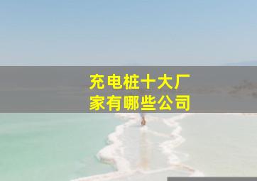 充电桩十大厂家有哪些公司