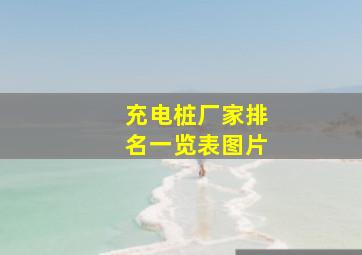 充电桩厂家排名一览表图片