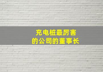 充电桩最厉害的公司的董事长