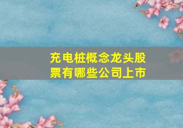 充电桩概念龙头股票有哪些公司上市