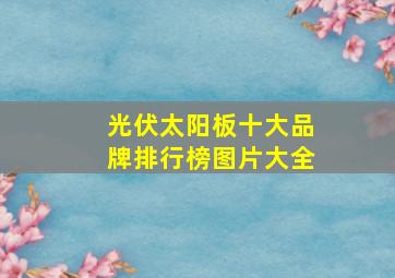 光伏太阳板十大品牌排行榜图片大全