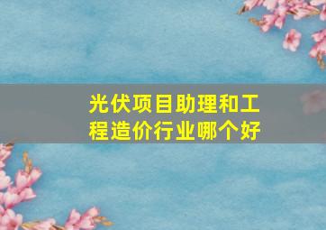 光伏项目助理和工程造价行业哪个好