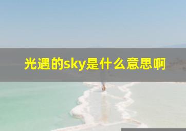 光遇的sky是什么意思啊