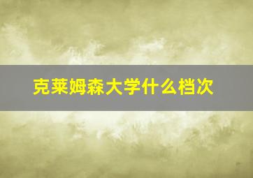 克莱姆森大学什么档次