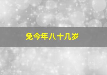 兔今年八十几岁