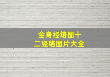 全身经络图十二经络图片大全