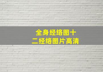 全身经络图十二经络图片高清