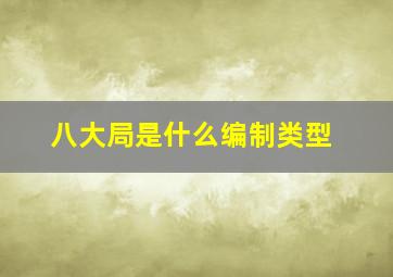 八大局是什么编制类型