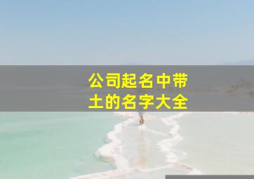 公司起名中带土的名字大全