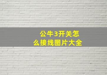 公牛3开关怎么接线图片大全