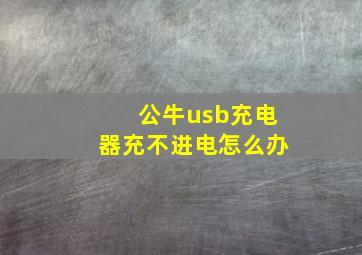 公牛usb充电器充不进电怎么办