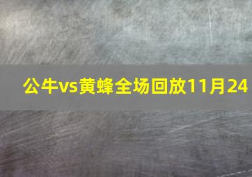 公牛vs黄蜂全场回放11月24