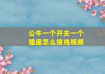 公牛一个开关一个插座怎么接线视频