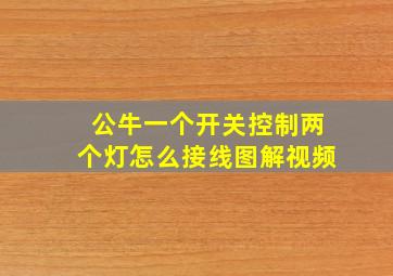 公牛一个开关控制两个灯怎么接线图解视频