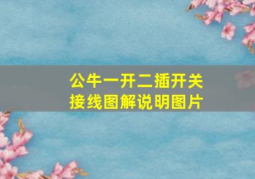 公牛一开二插开关接线图解说明图片