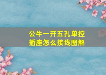 公牛一开五孔单控插座怎么接线图解