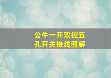 公牛一开双控五孔开关接线图解