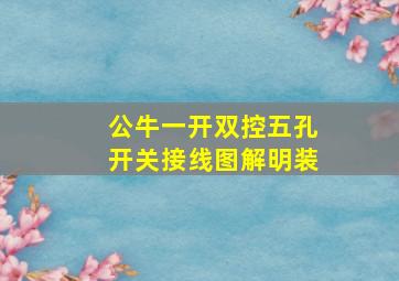 公牛一开双控五孔开关接线图解明装