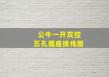 公牛一开双控五孔插座接线图