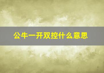 公牛一开双控什么意思