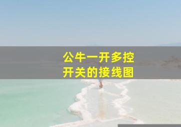 公牛一开多控开关的接线图