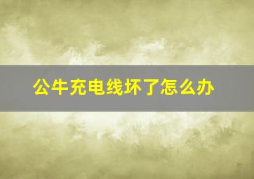 公牛充电线坏了怎么办