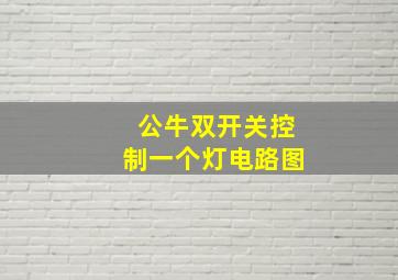 公牛双开关控制一个灯电路图