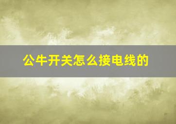 公牛开关怎么接电线的