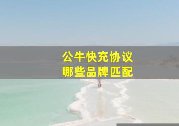 公牛快充协议哪些品牌匹配